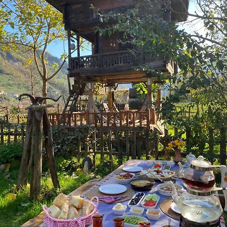 Zeni De Vore Serender & House Lejlighedshotel Rize Eksteriør billede