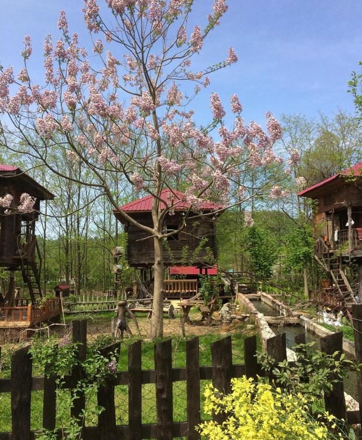 Zeni De Vore Serender & House Lejlighedshotel Rize Eksteriør billede