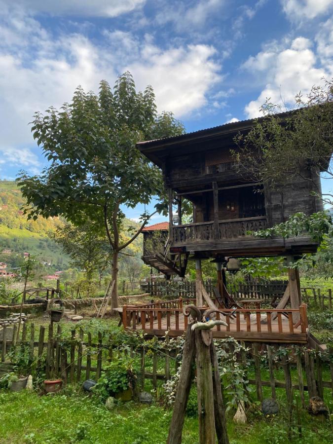 Zeni De Vore Serender & House Lejlighedshotel Rize Eksteriør billede