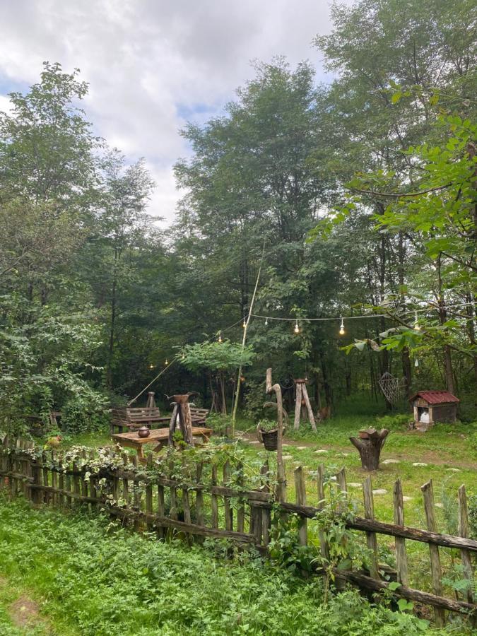 Zeni De Vore Serender & House Lejlighedshotel Rize Eksteriør billede