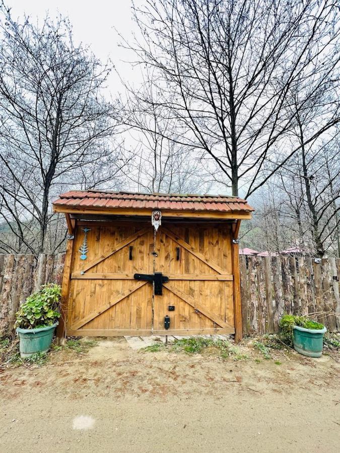 Zeni De Vore Serender & House Lejlighedshotel Rize Eksteriør billede
